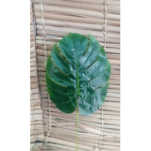 FL FOLHA 60831 COSTELA DE ADAO P UNITARIA A57CM FOLHA A26XL22CM