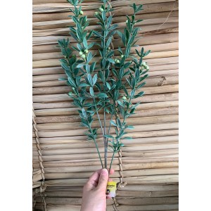 FL HASTE BG239072 CHERRY C/ BOLINHAS A69CM