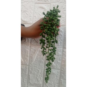 FL PENDENTE SUCULENTA BOLINHAS 63248LX 38CM