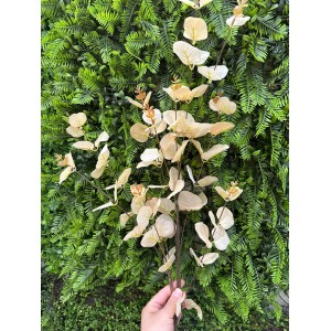 GALHO W528-02 DE EUCALIPTO C/11 GALHOS A94CM