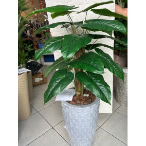 ARVORE AV-0005M FOLHA COPO DE LEITE MEDIA APROX 120CM