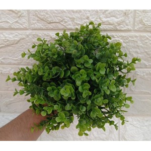 FL PICKS 65031 EUCALIPTO A28CM