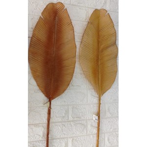 HASTE BG310036 DE FOLHA ENVELHECIDA A93CM