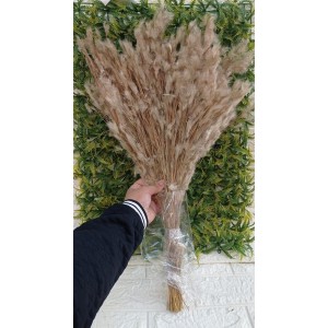 FL HASTE SAP-400 SAPIS NATURAL A60CM