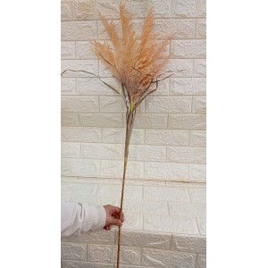  HASTES CAPIM NI0007 DOS PAMPAS 130CM