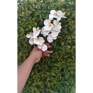FL HASTE 0371-23 DE ORQUIDEA BRANCA A62CM