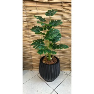 ARVORE 68504 COSTELA DE ADAO A85CM