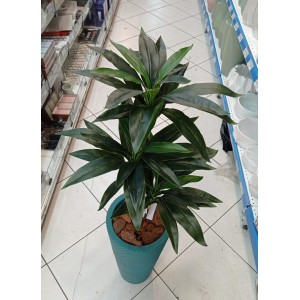 ARVORE COD2522 DRACENA C/3 HASTE A90CM