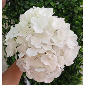 BUQUE BG405267 DE HORTENCIA BRANCA C/5 GALHOS A50CM