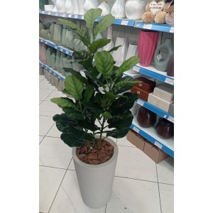 ARVORE CY030215 FICUS LYRATA C/3 HASTES A106CM