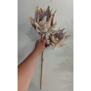 HASTE W298-164A DE ALCACHOFRA C/2 GALHOS A63CM