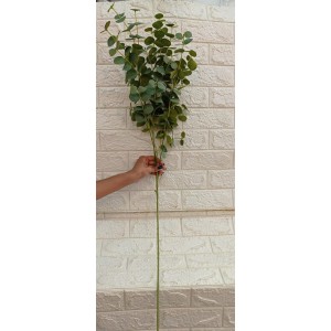 FL HASTE FX2147 DE EUCALIPTO C/3 GALHOS A102CM