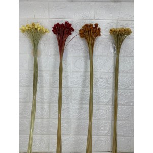 FL HASTE ESPETA NARIZ (SEMPRE VIVA) A70CM